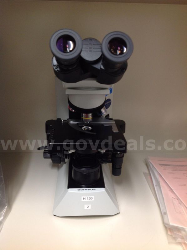 Olympus Microscope CX31 RBSFA