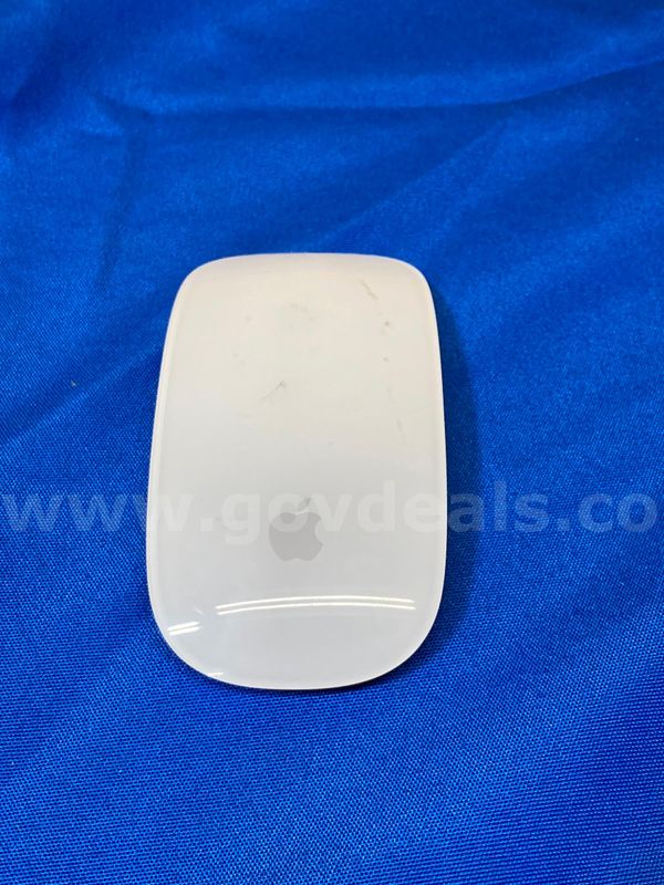 (1) Apple Magic Mouse