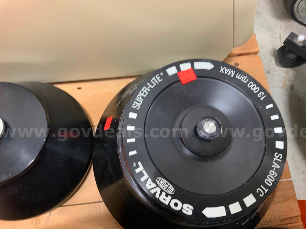 Rotor for centrifuge