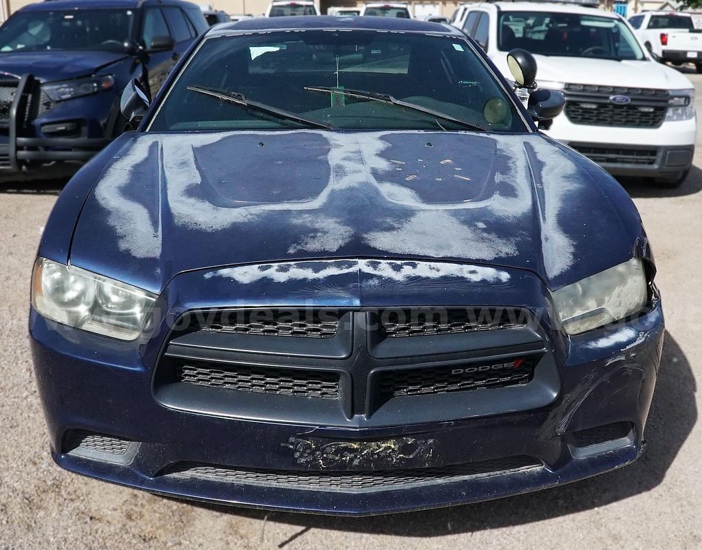 Dodge Chargers
