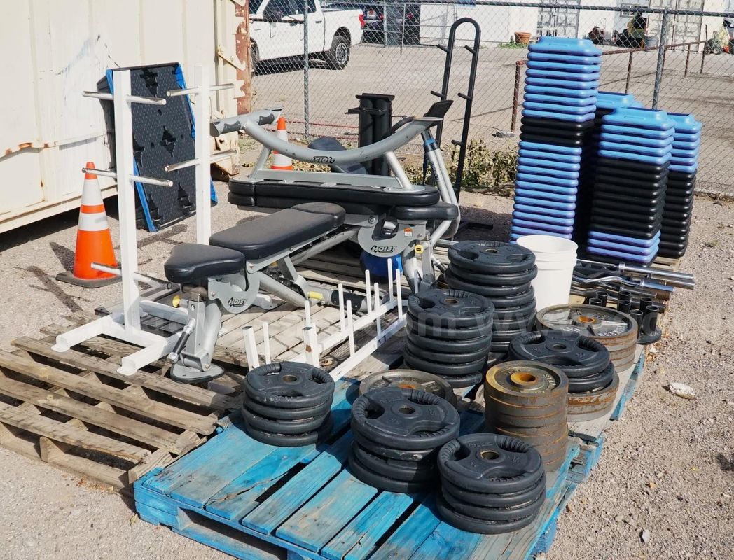 Assorted Fitness Equipment