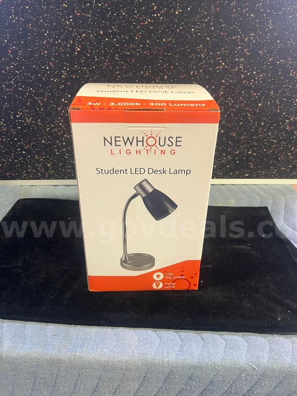 MSU Lot # 9203- Student Desk Lamp
