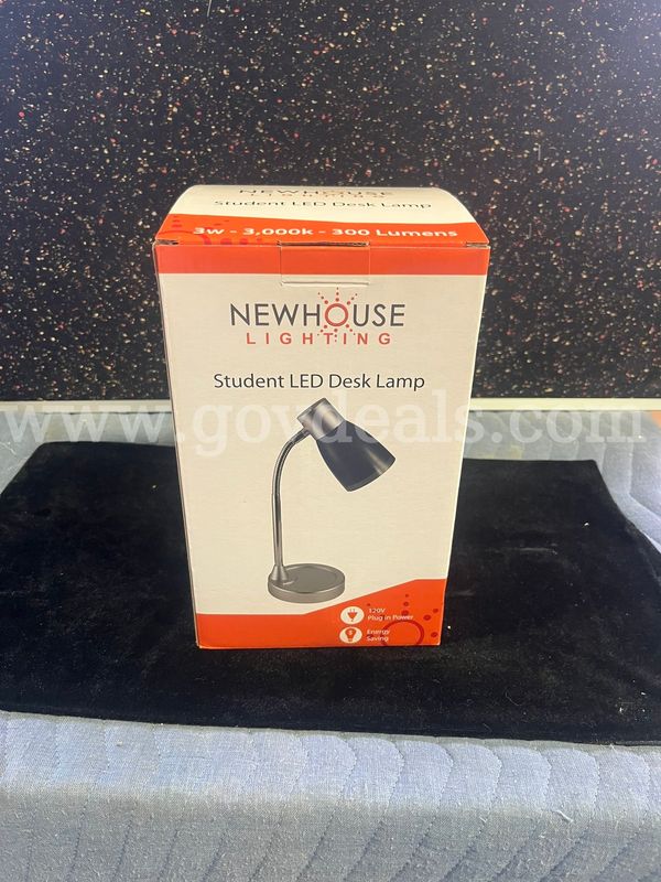 MSU Lot # 9204- Lot of 2 Student Desk Lamp