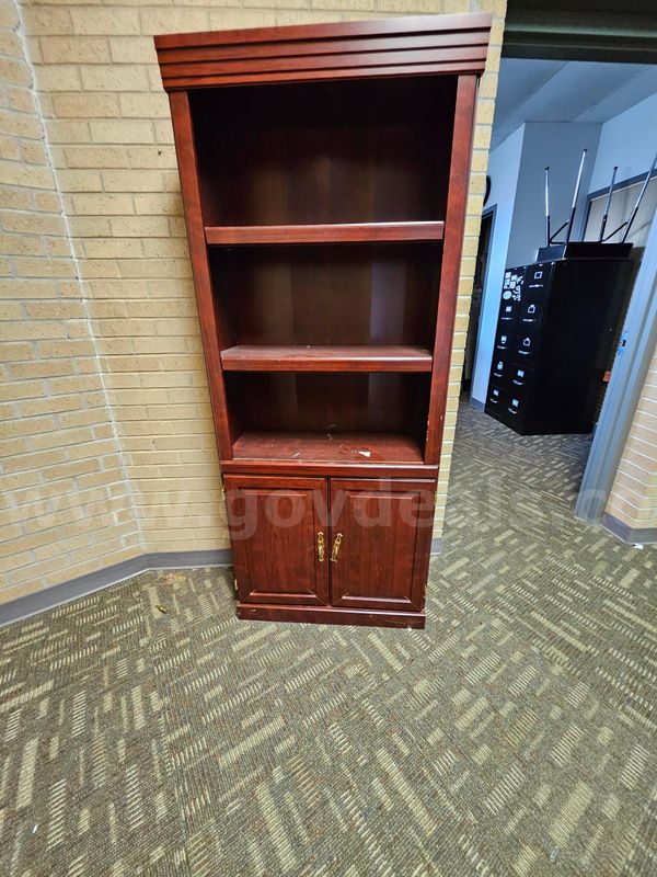 Book case with enclosed doors