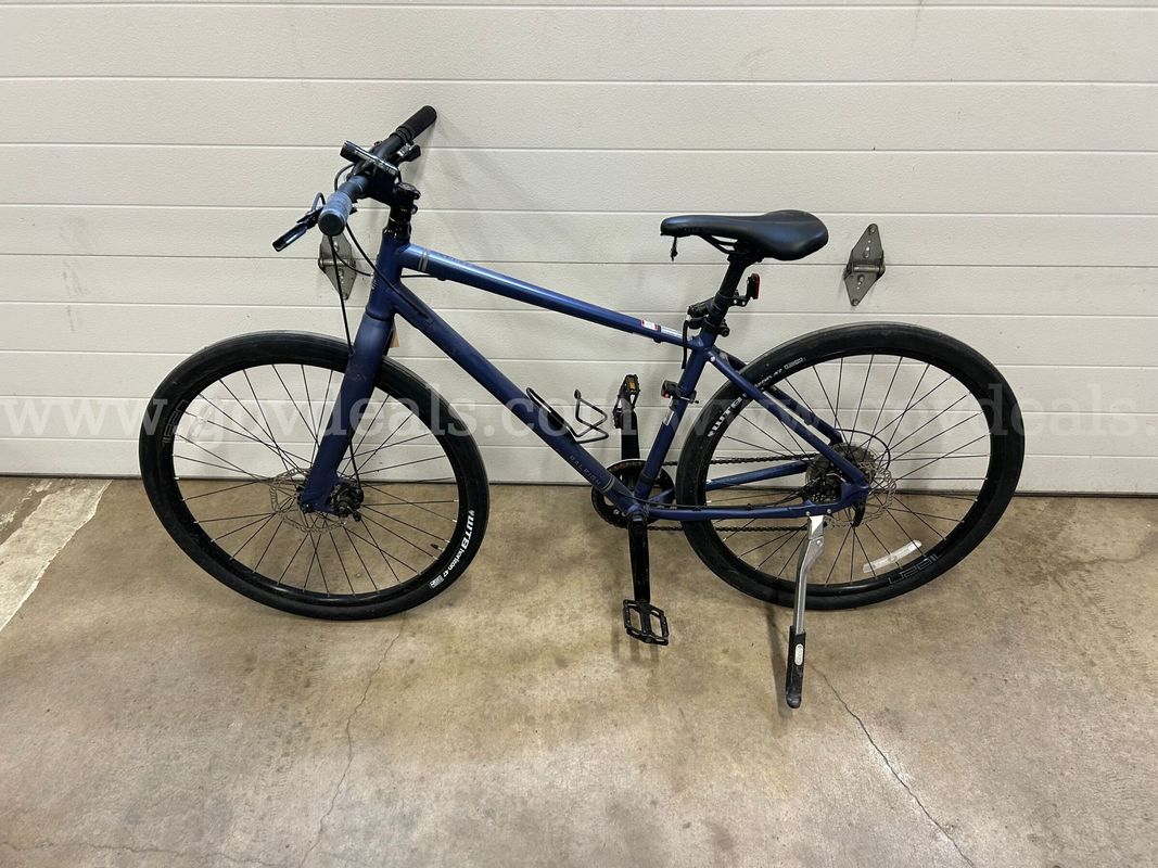 Blue Raleigh