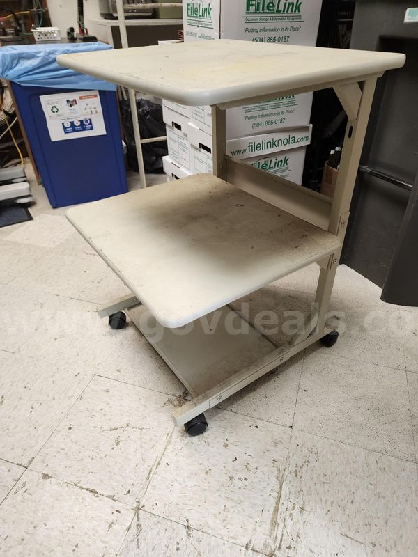 Rolling 2 shelf table