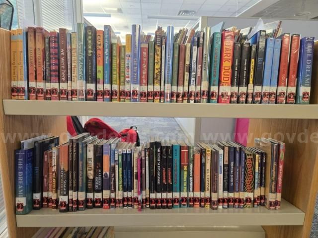 Large Lot of Picture Books and Chapter Books For Juvenile/Young Adult