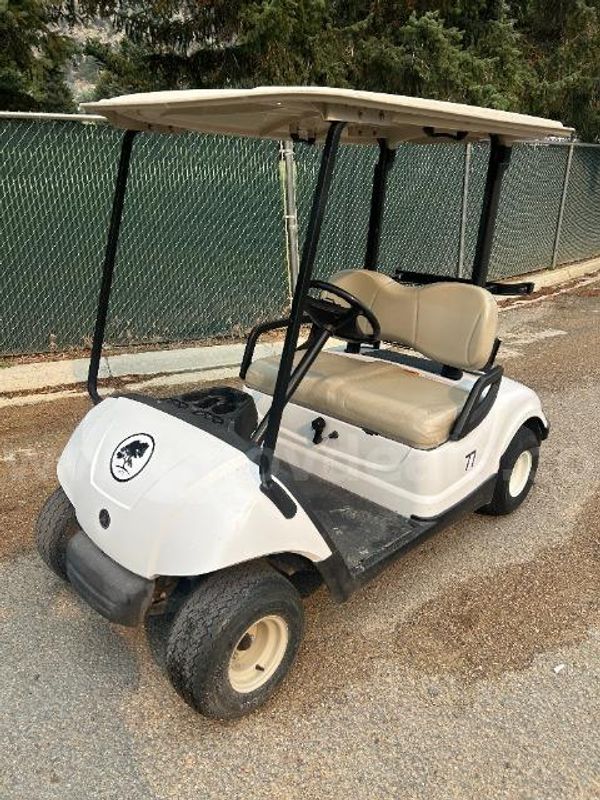 Yamaha Golf Cart Model YDRAX4