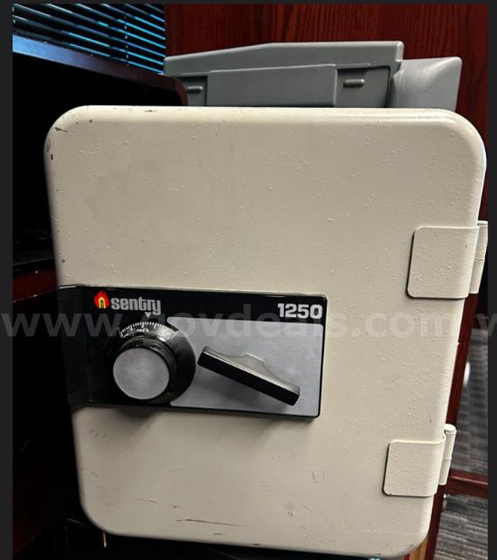 Sentry 1250 Safe