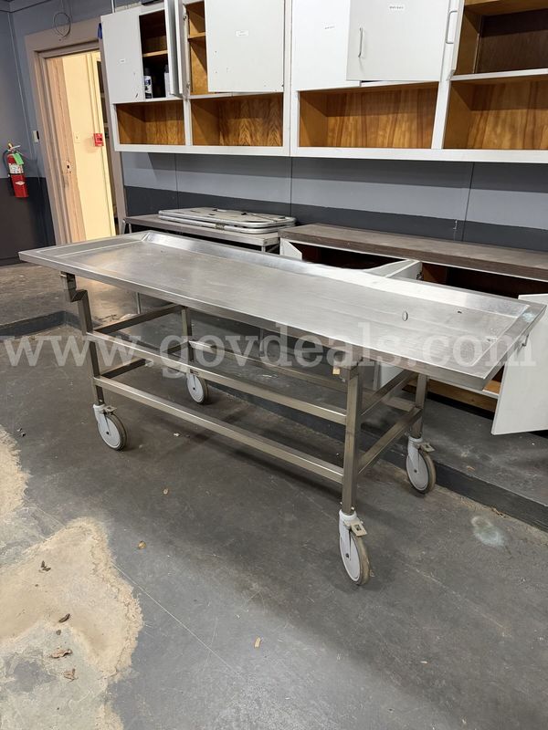 Stainless Steel Mortech Autopsy Table
