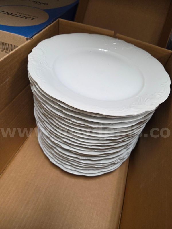 Lot of VINTAGE Savior Vivre Salzburg S1000 Fine China - 10.5" Plates (some may have minor small chips/cracks)