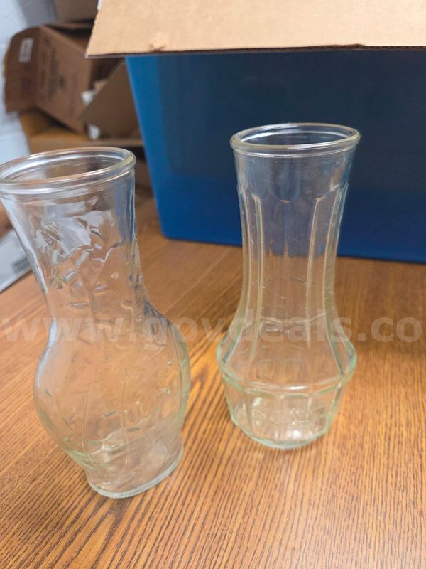 2 Small Glass Vases