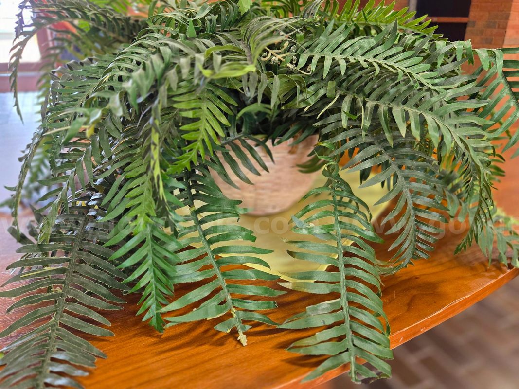 Greenery in basket