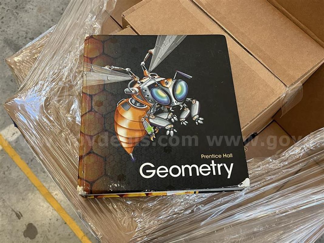 Geometry Textbooks Lot A-983