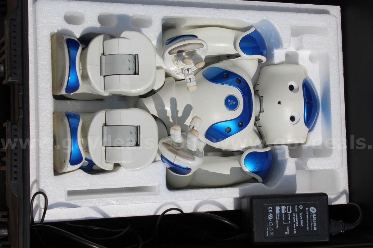 NAO Humanoid Robot