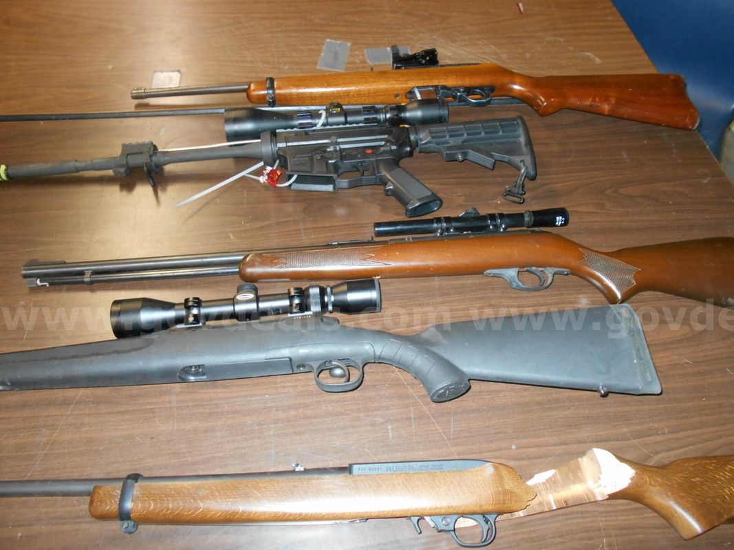 Lot of 5 Guns