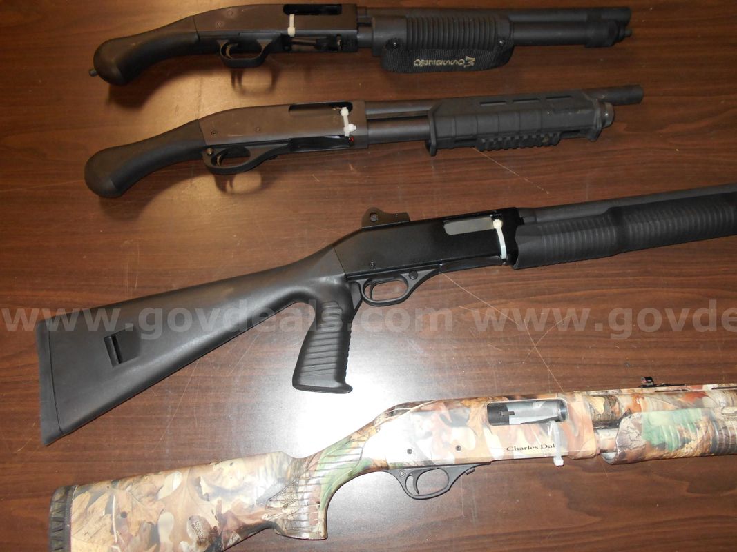Lot of 4 Guns