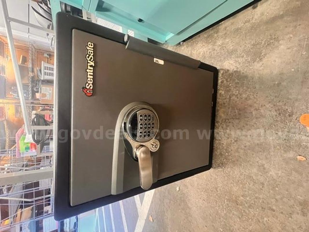 SentrySafe Digital/Key Safe