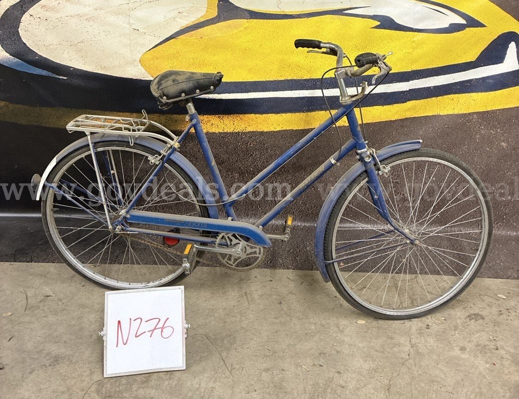 Raleigh Sports, 22-Inch Ct