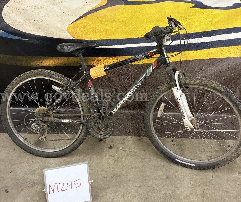 Diamondback Outlook, 17-Inch Ct