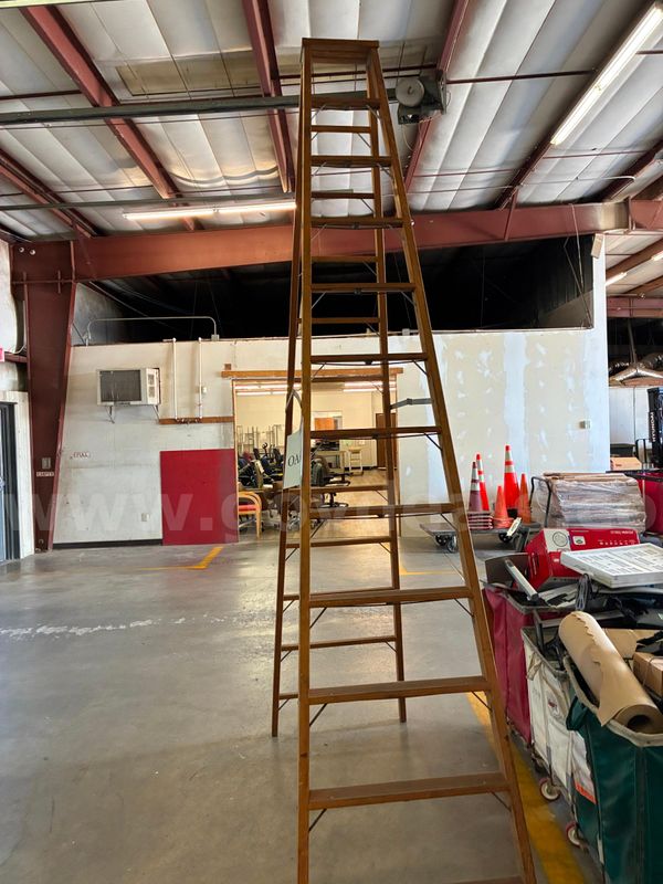Ladder, 12' - FOR DECORATIVE PURPOSES ONLY