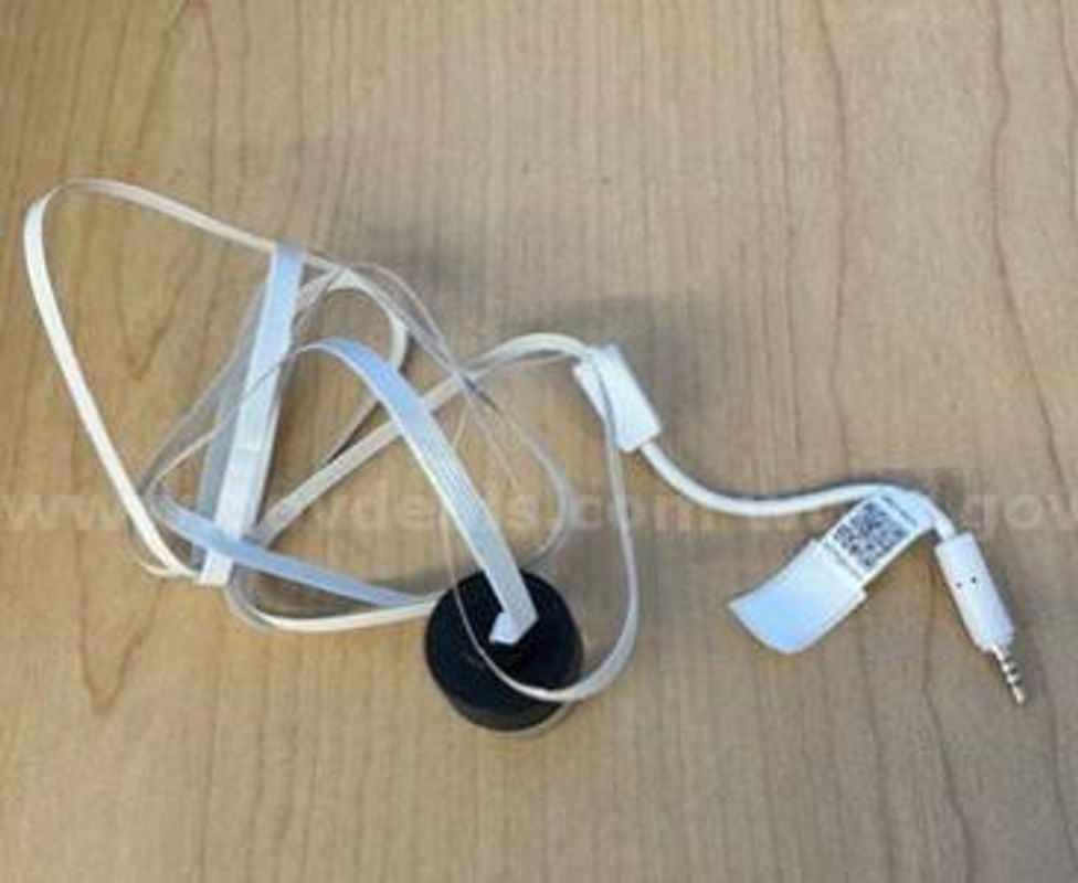 Berlinger Refrigerator Q-Tag Liquid Temperature Probe