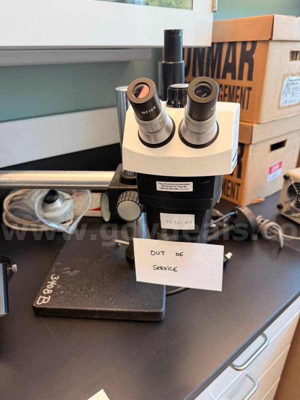 Stereoscope and Lights