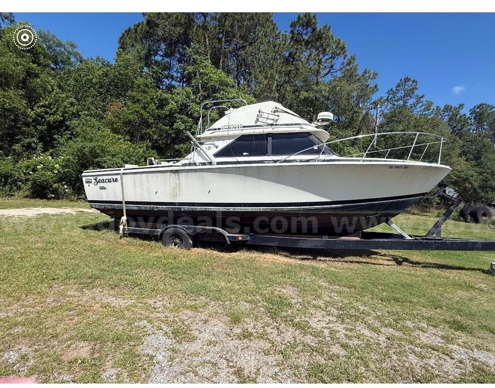 1984 Bertram 28