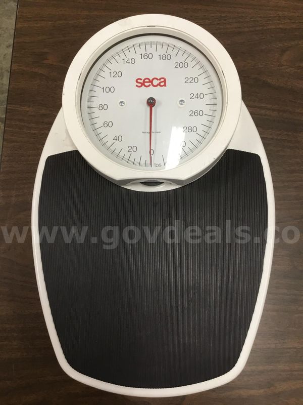 18 1/2 x 12 white Seca floor dial scale "DH"