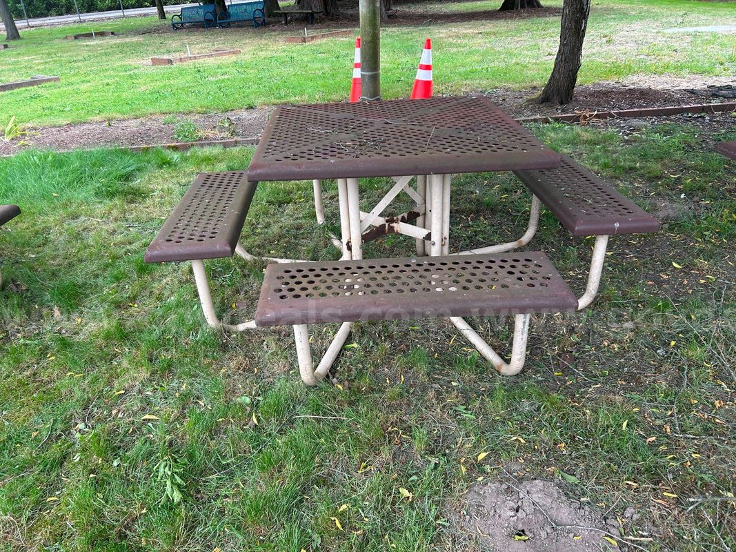 Metal Picnic Table #2