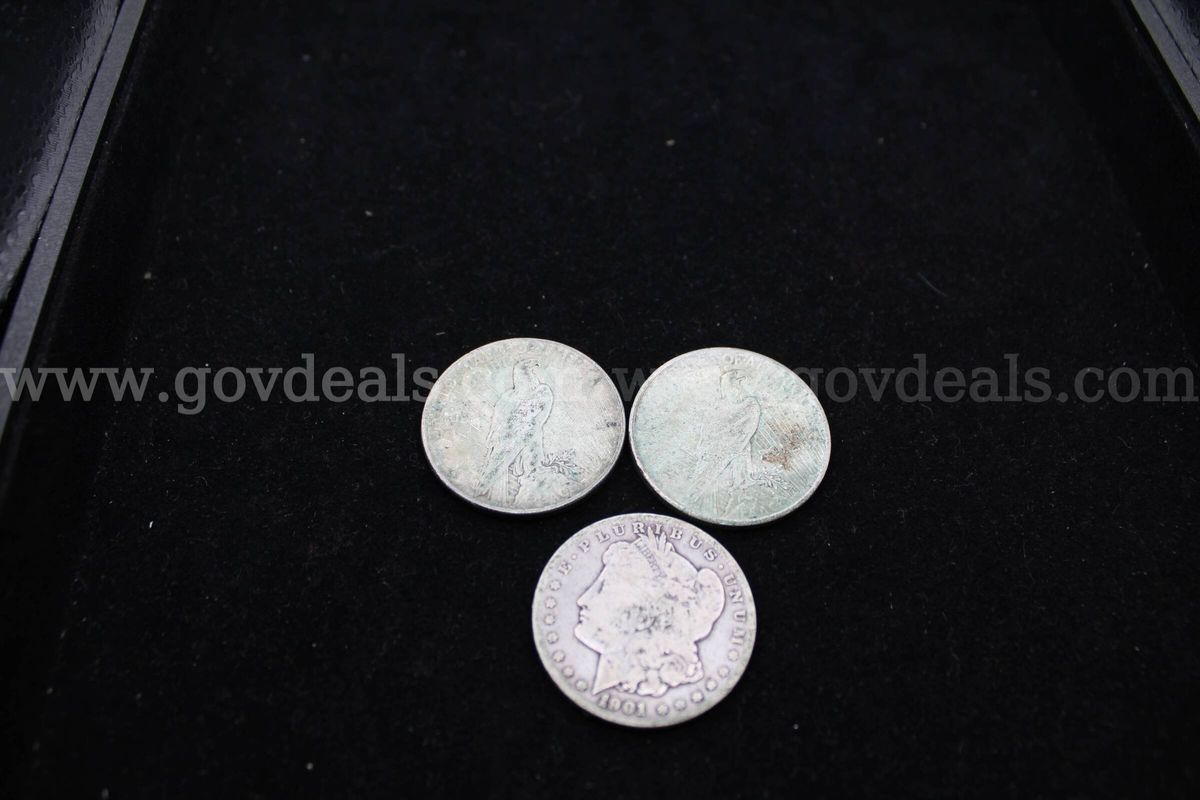 Silver Dollars (3)