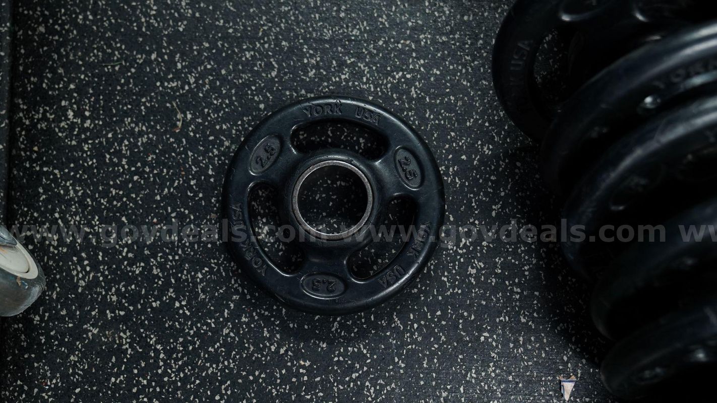Lot of (39) Various Weight Plates