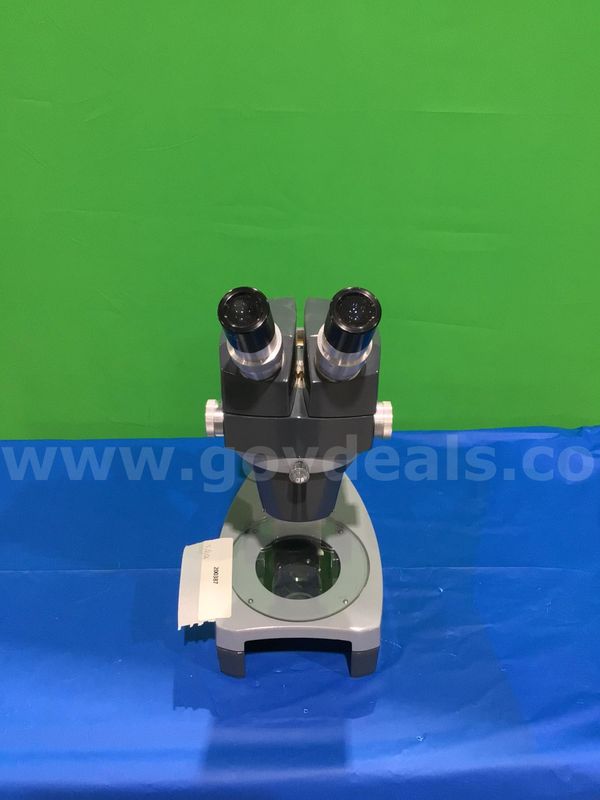 Stereo Microscope