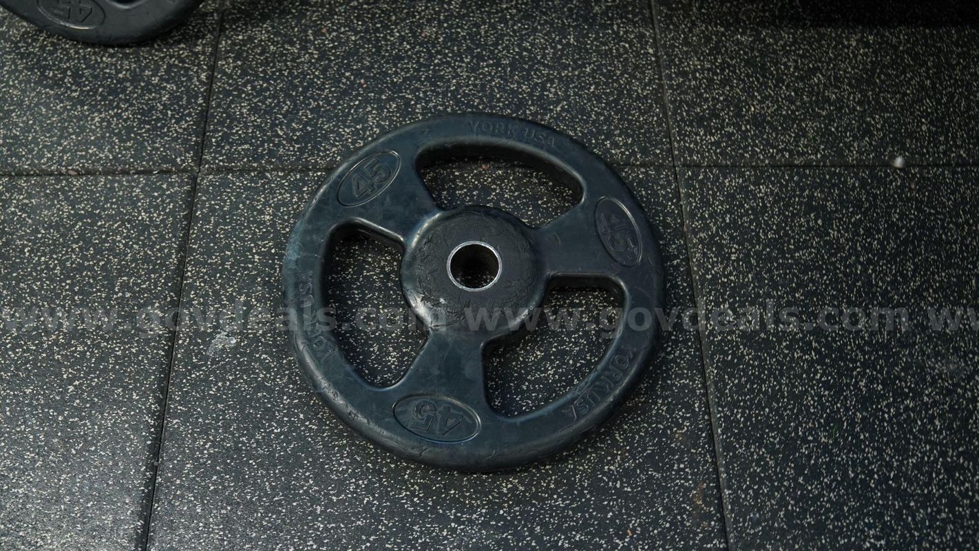 (1) 45 LB Weight Plate