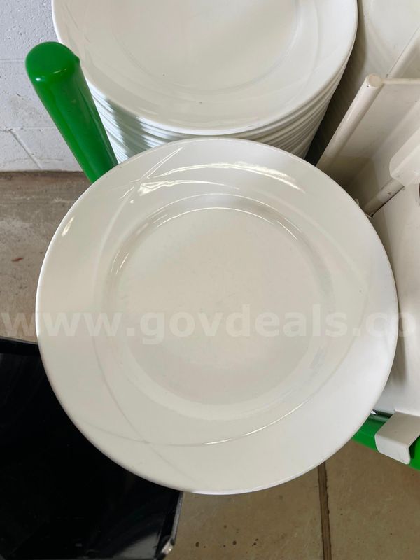 Simple 11" Dinner Plate (Lot of 168)