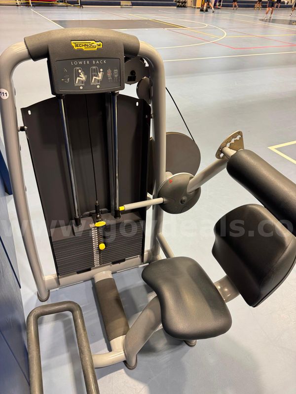 Lower Back Extension