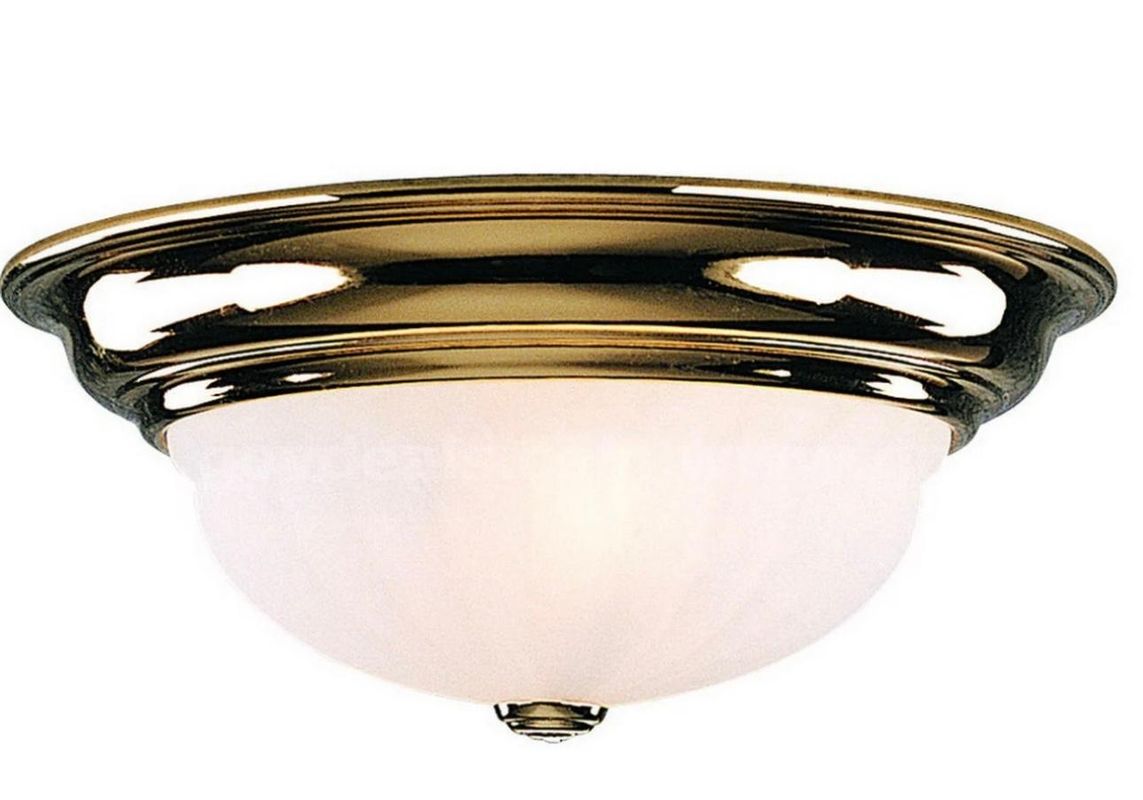 Brand New - Dolan Designs 521-14 Richland 1 Light Polished Brass Alabaster Glass