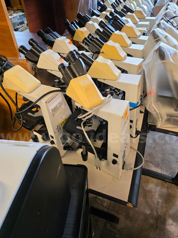 Nikon microscopes