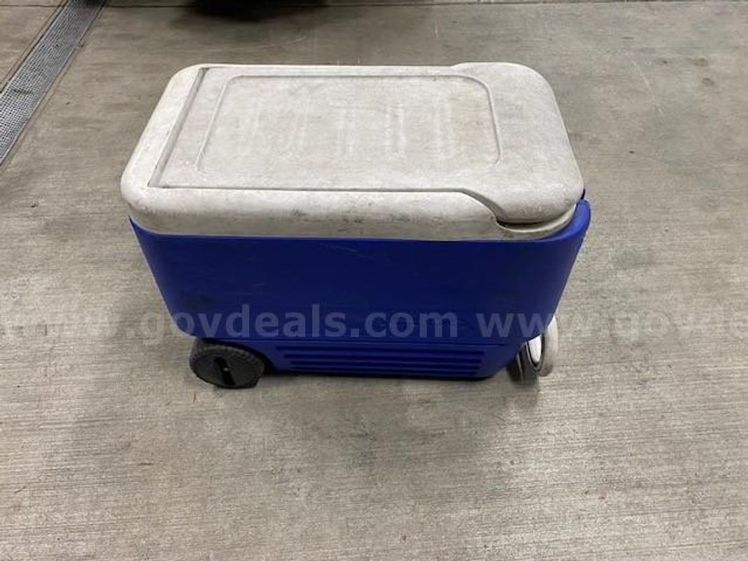 Ice cooler
