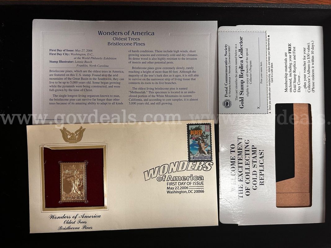 Wonders of America “Oldest Tree” Stamp Presentation Card