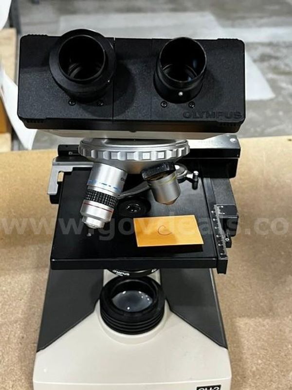 Olympus Ch2 Halogen Microscope