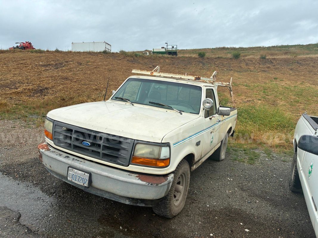 1995 Ford F-150 XL Reg. Cab Short Bed 4WD