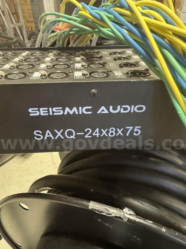 Seismic Audio 24 Channel Snake