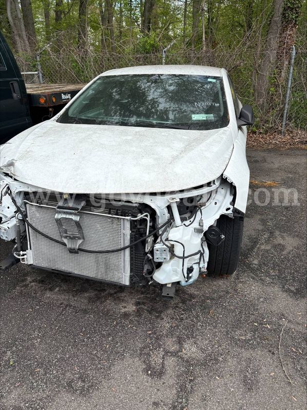 2019 Chevrolet Malibu 1FL