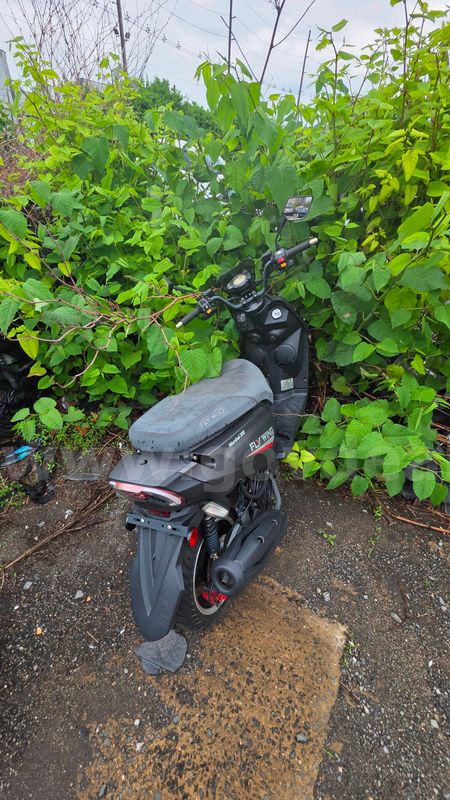 Fly E-Bike