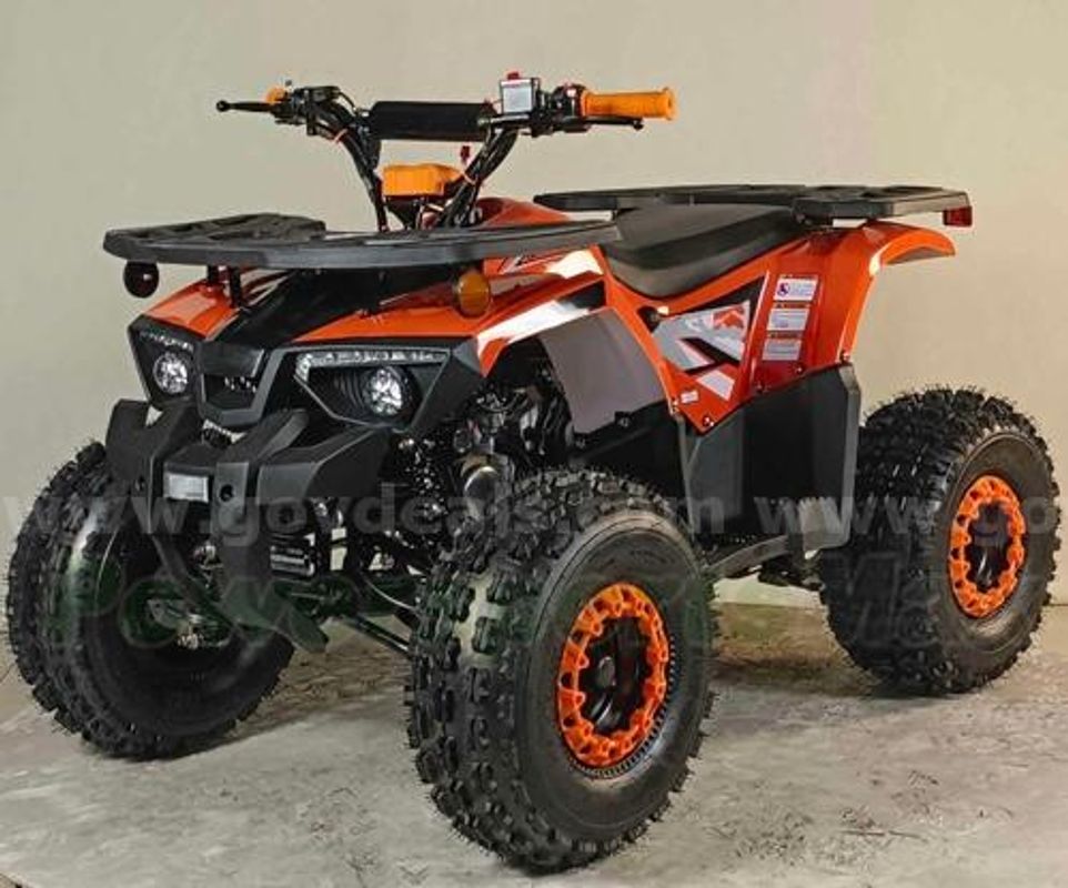 FREE SHIPPING 2025 ATV 125cc Factory Sealed
