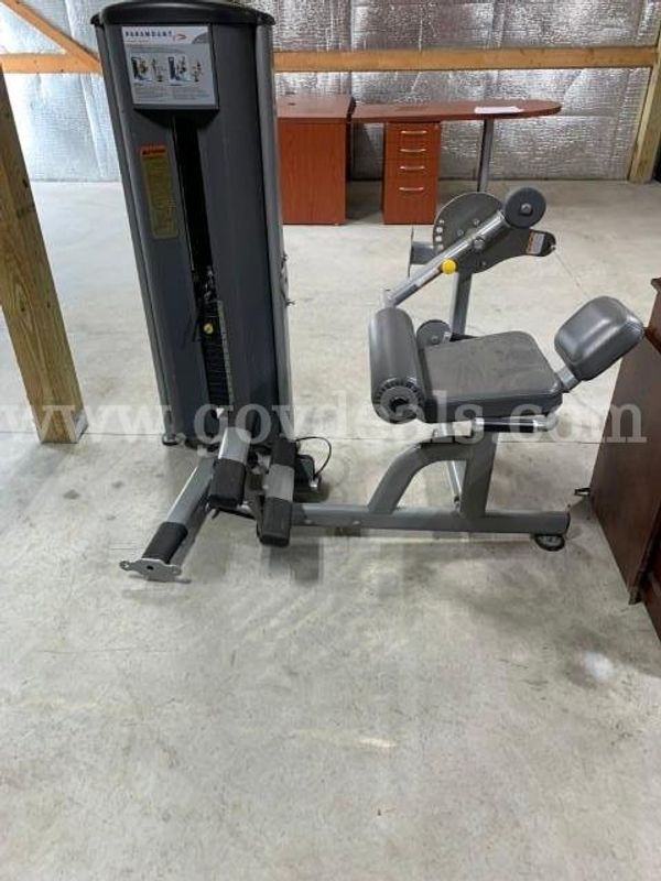 Paramount Low Back/Abdominal Machine