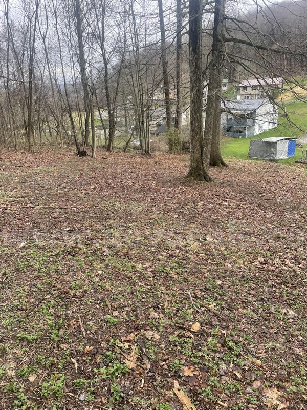 Parcel of Land - Western Drive and King Drive, Kingwood, WV