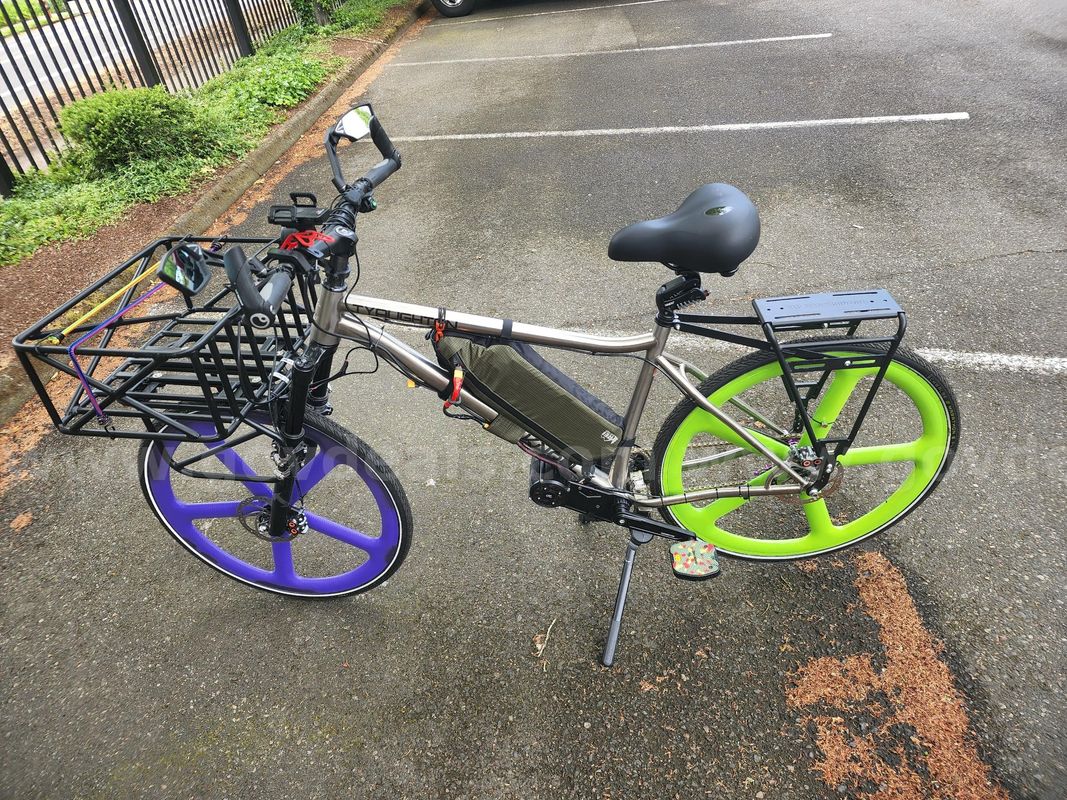 Custom 100% Titanium Cargo E-bike
