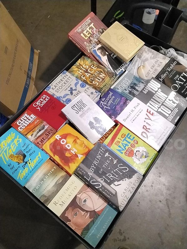 Random Book Lot